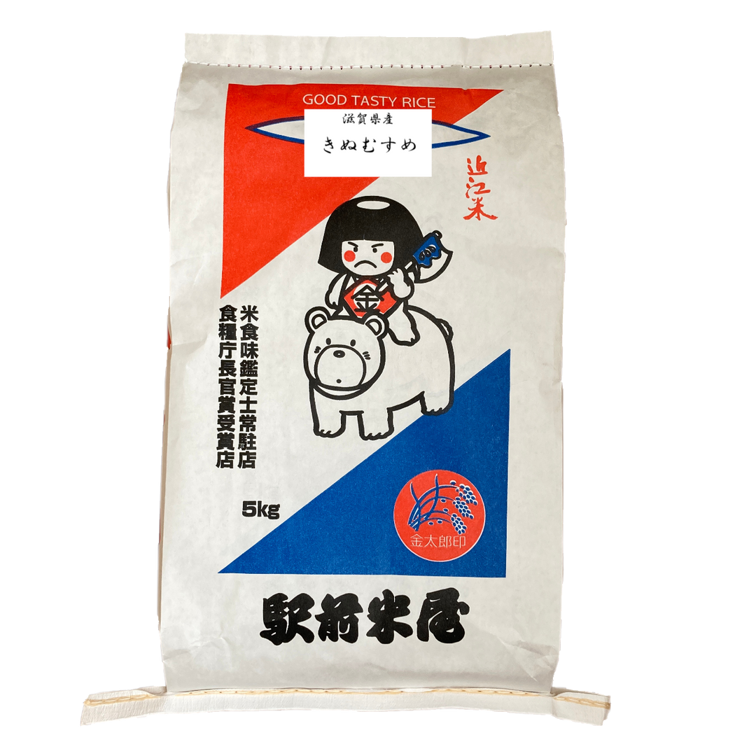 令和3年  滋賀県産　新米　きぬむすめ　20kg 白米